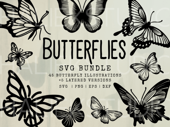 Download Butterflies SVG Illustrations - Illustrations Collection